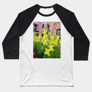 Sunny Snaps Baseball T-Shirt